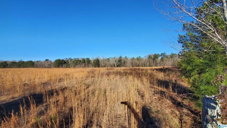 SANDTOWN ROAD, Millbrook, AL 36054 - #3