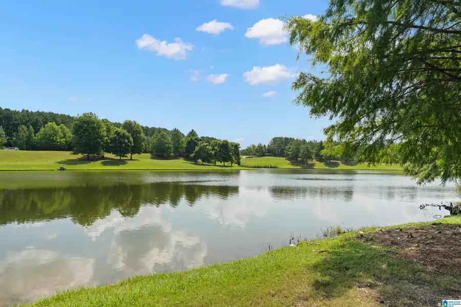 1049 FAIRBANK LANE, Chelsea, AL 35043 - #2