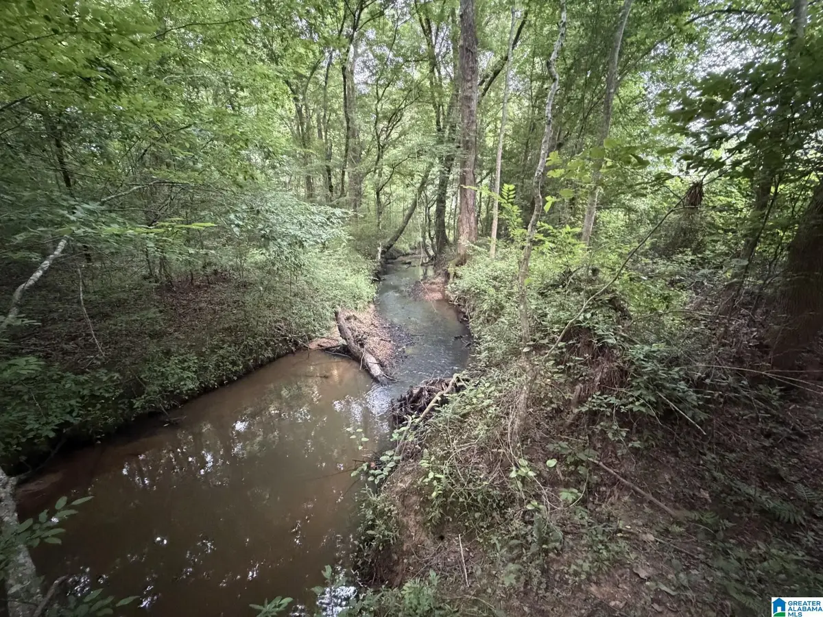 12482 COUNTY ROAD 19, Heflin, AL 36264 - #1