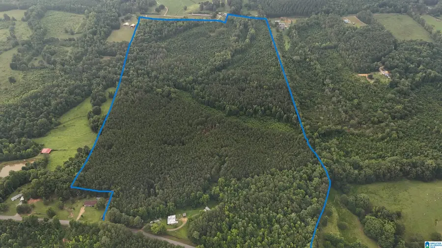 12482 COUNTY ROAD 19, Heflin, AL 36264 - #2