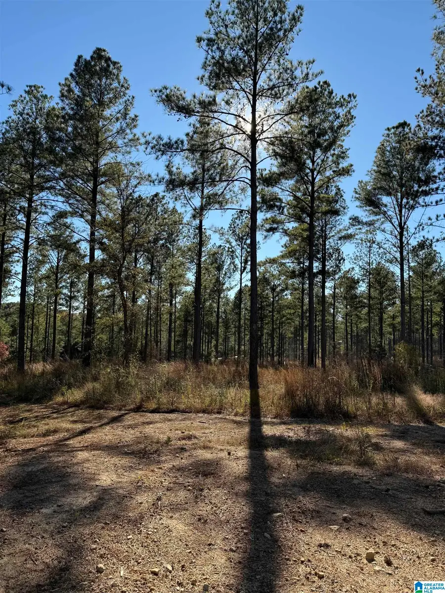 2202 WATTS ROAD, Munford, AL 36268 - #2