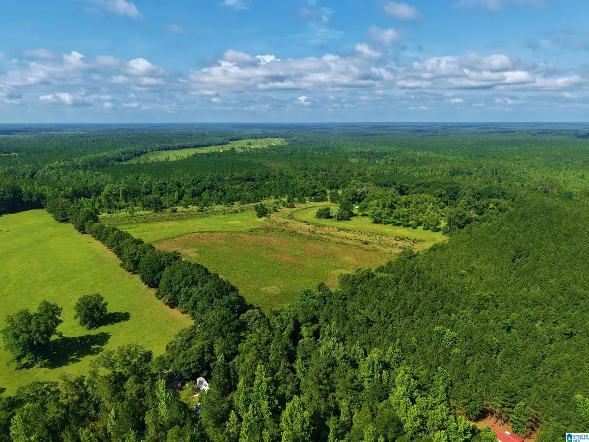 22880 OLD WEEKLY ROAD, Bay Minette, AL 36507 - #1