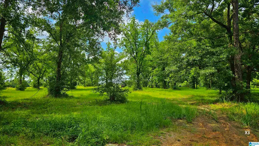 22880 OLD WEEKLY ROAD, Bay Minette, AL 36507 - #2