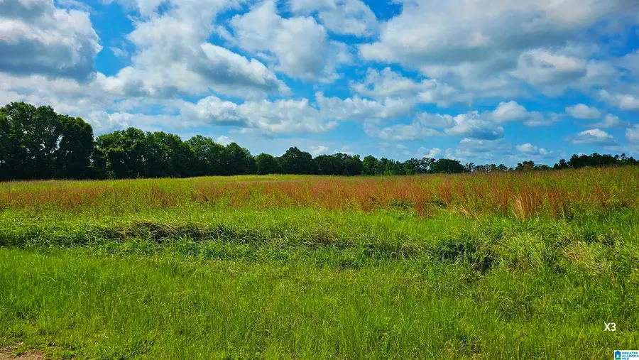 22880 OLD WEEKLY ROAD, Bay Minette, AL 36507 - #3