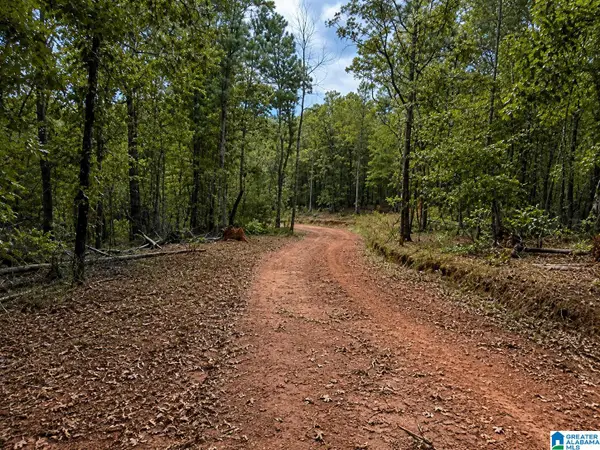 0 SMITH MILL ROAD, Delta, AL 36258