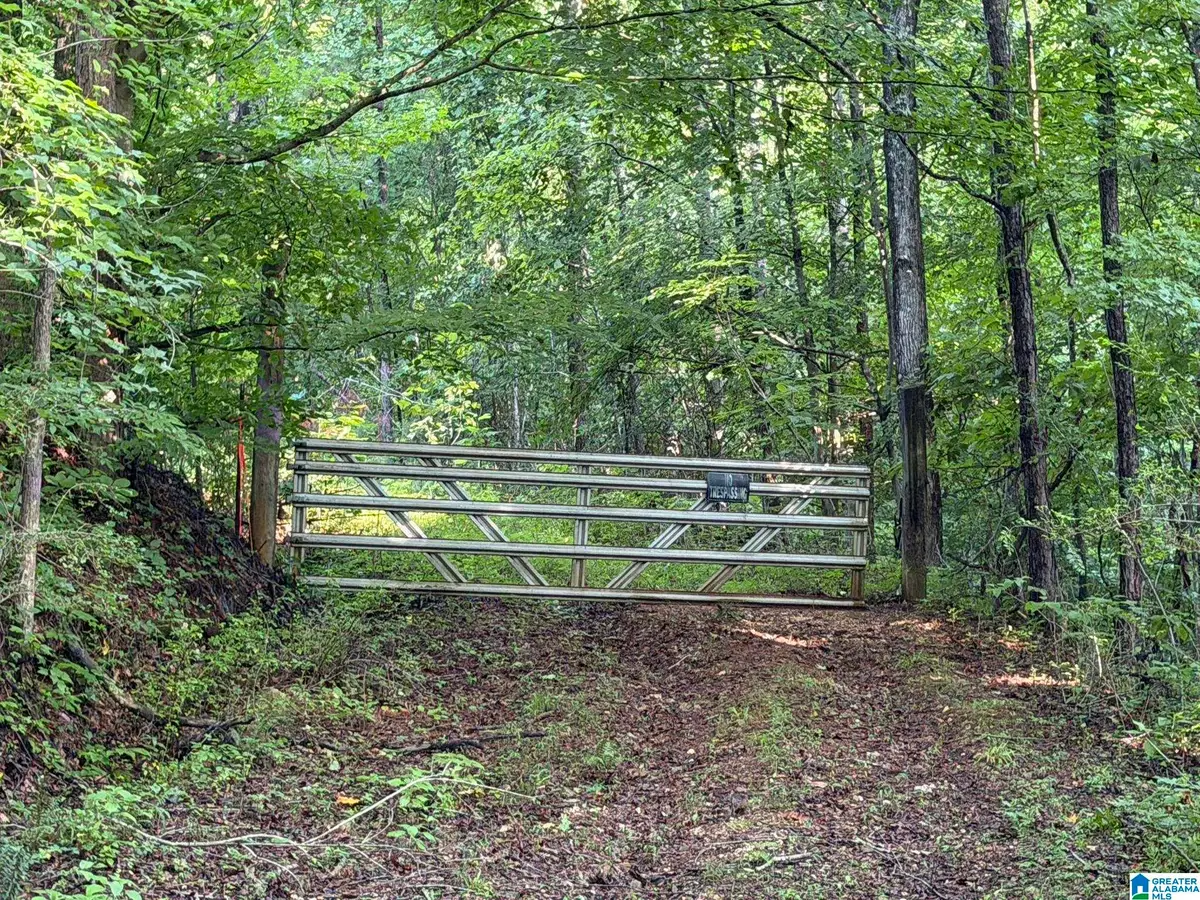 455 OAK GROVE ROAD, Springville, AL 35146 - #1