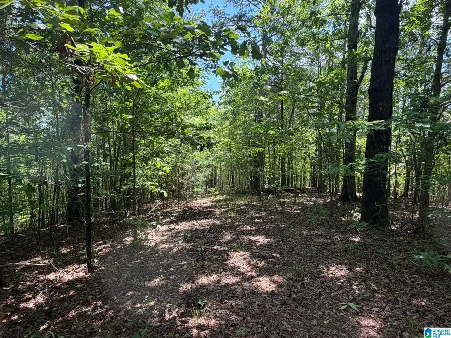 455 OAK GROVE ROAD, Springville, AL 35146 - #3