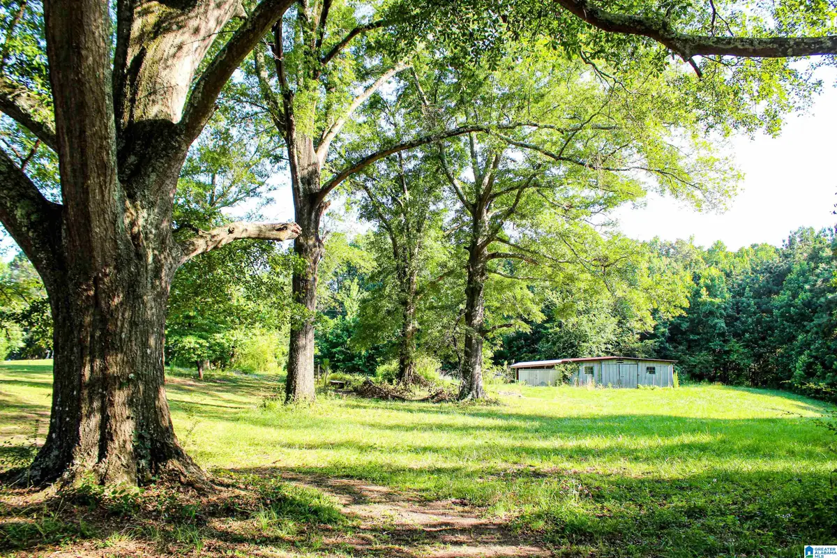 0 AARON ROAD, Jasper, AL 35501 - #1