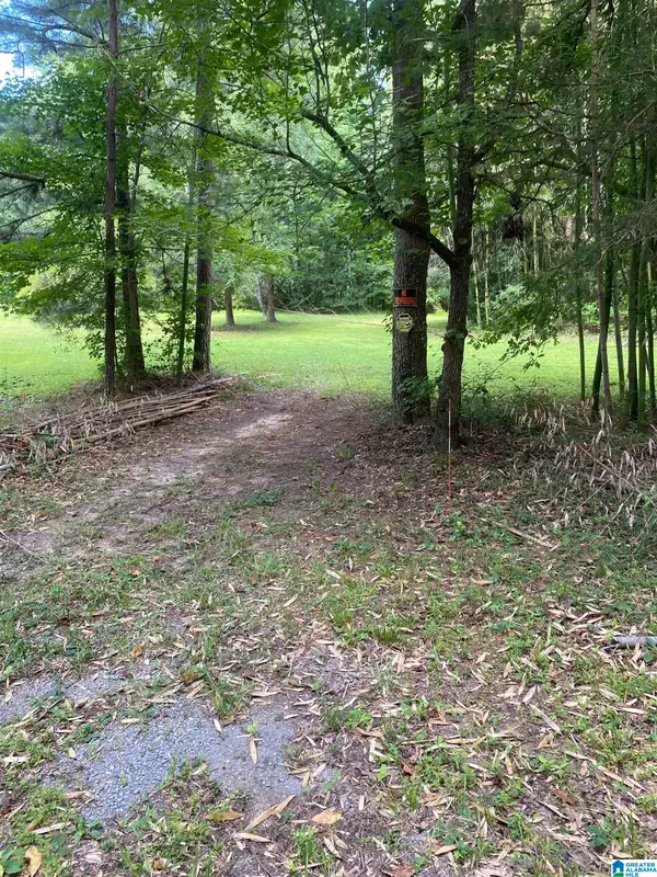 0 EVERGREEN ROAD, Springville, AL 35146