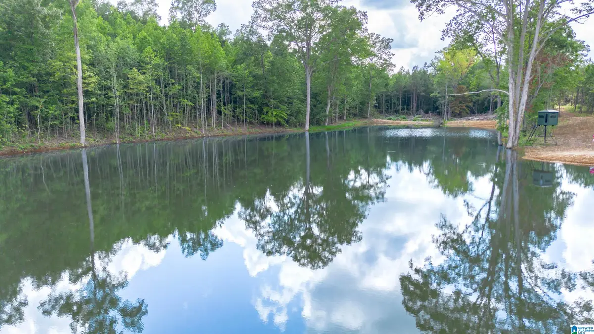 VINEYARD ROAD, Fruithurst, AL 36262 - #1