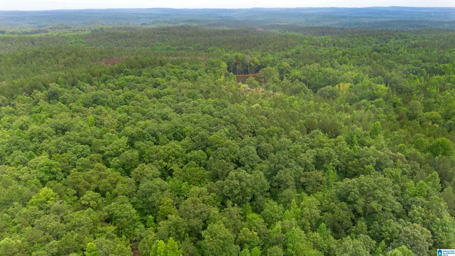 VINEYARD ROAD, Fruithurst, AL 36262 - #3
