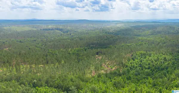 VINEYARD ROAD, Fruithurst, AL 36262