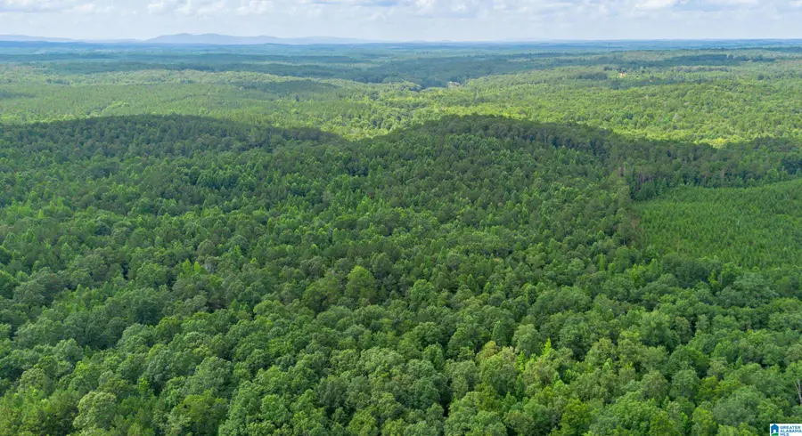 VINEYARD ROAD, Fruithurst, AL 36262 - #2