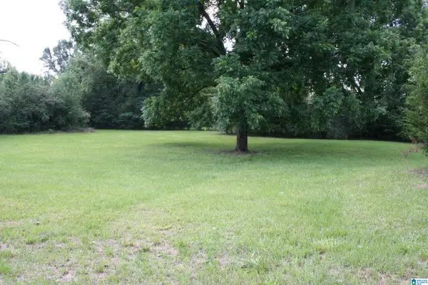 6096 WARRIOR RIVER ROAD, Bessemer, AL 35023