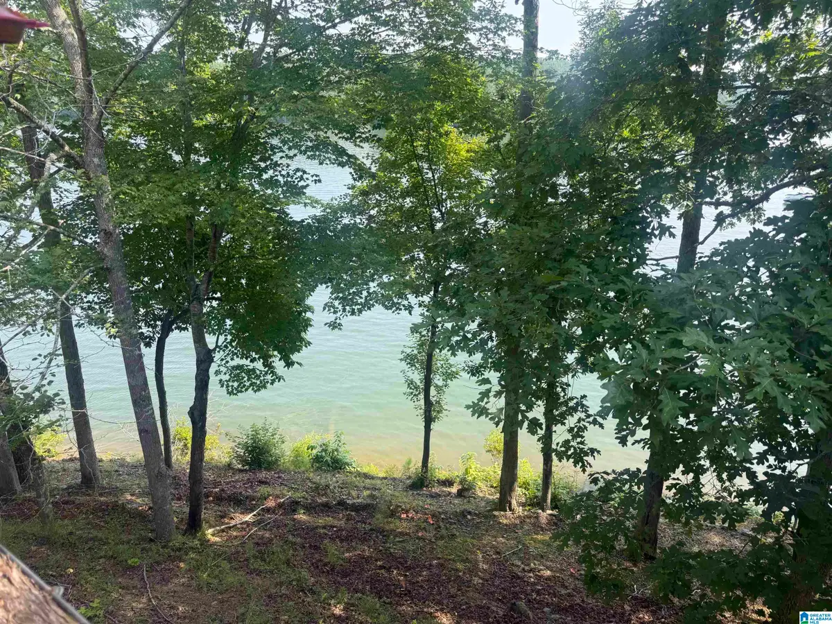 372 POPE LANE, Wedowee, AL 36278 - #1
