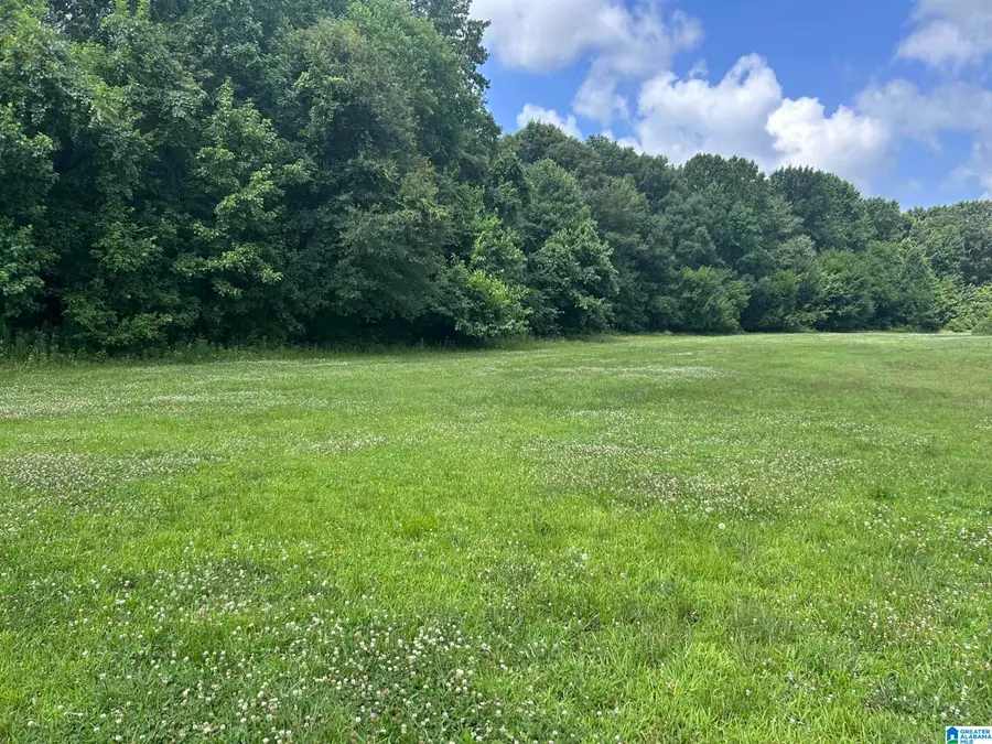 9914 WALL TRIANA HIGHWAY, Toney, AL 35773 - #2