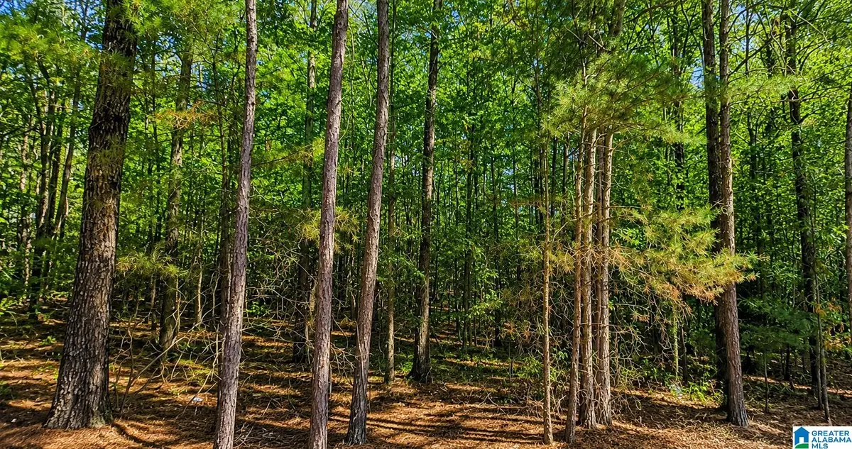 0 DALE DRIVE, McCalla, AL 35111 - #1