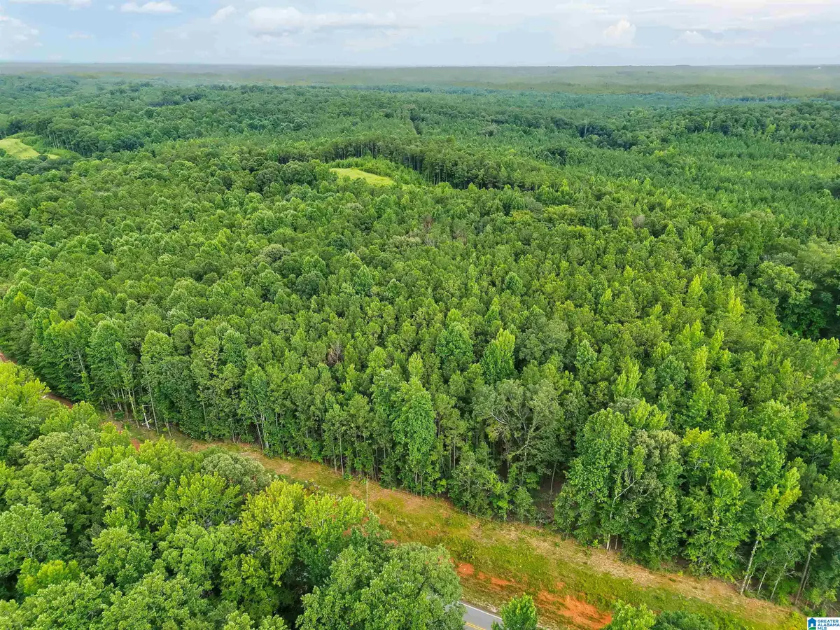 COUNTY ROAD 520, Verbena, AL 36091 - #1