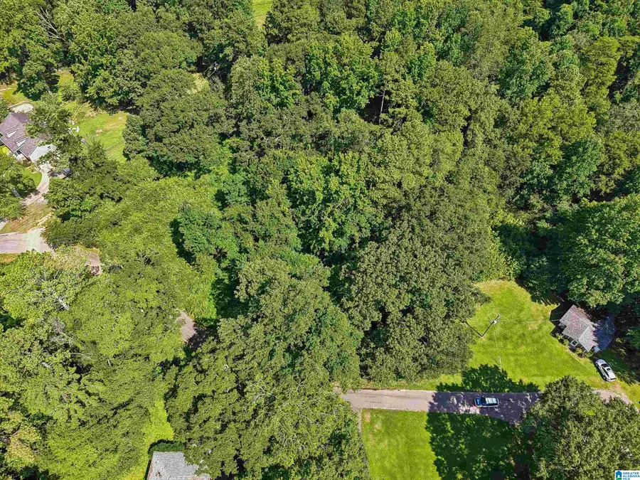 64 BUSHWOOD ROAD, Irondale, AL 35210 - #3