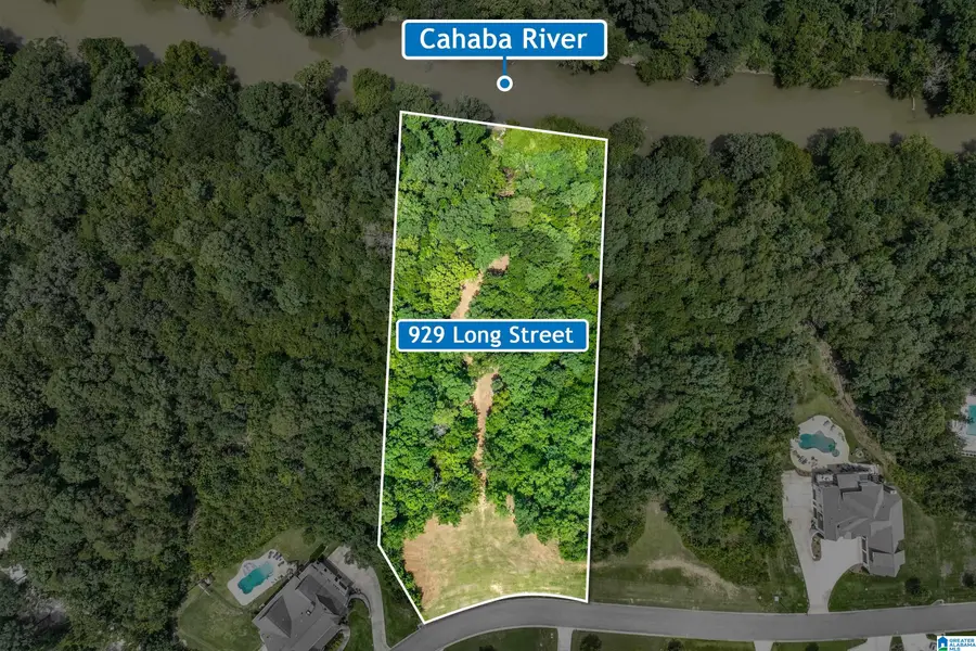 929 LONG STREET, Helena, AL 35080 - #2