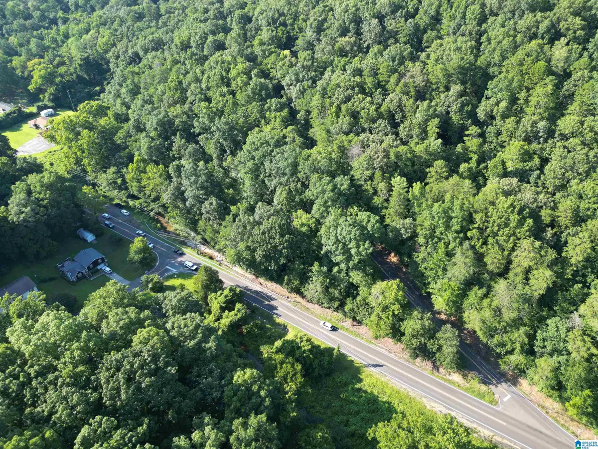 3101 SWEENEY HOLLOW ROAD, Birmingham, AL 35215 - #1