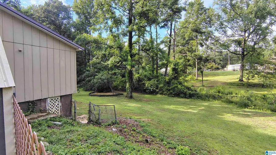 1334 SUNNY LANE, Mount Olive, AL 35117 - #3