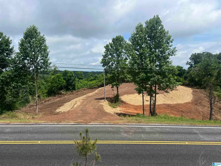 0 HIGHWAY 48, Wedowee, AL 36278 - #2