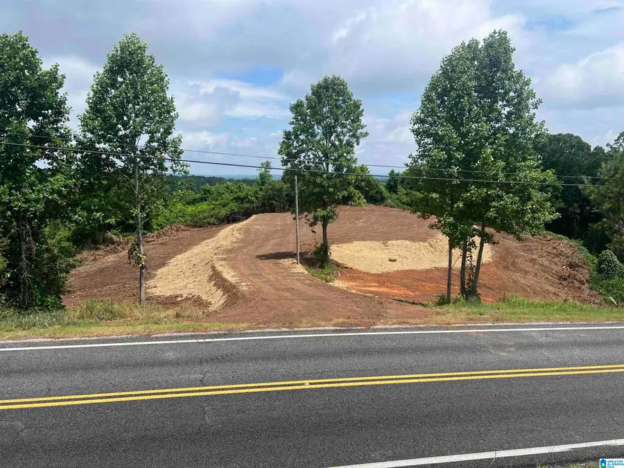 0 HIGHWAY 48, Wedowee, AL 36278 - #3