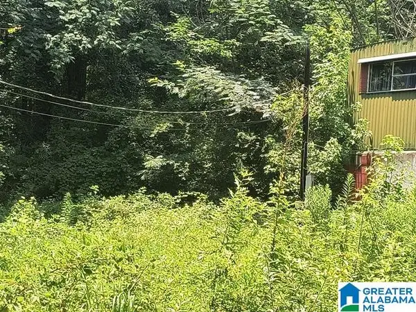 2232 MAIN STREET, Irondale, AL 35210