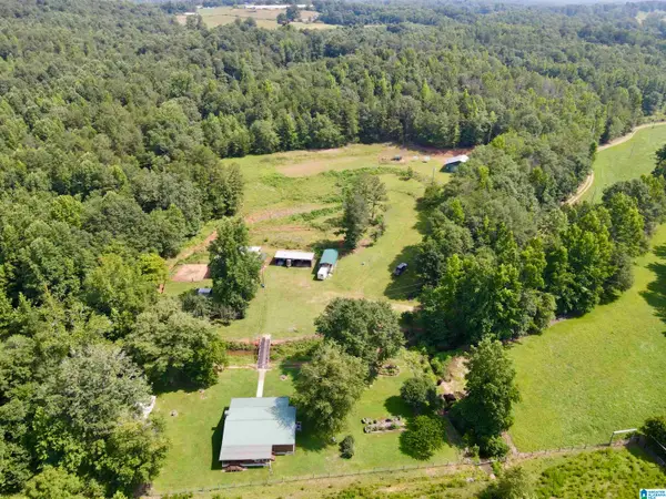 780 LOST CREEK ROAD, Delta, AL 36258