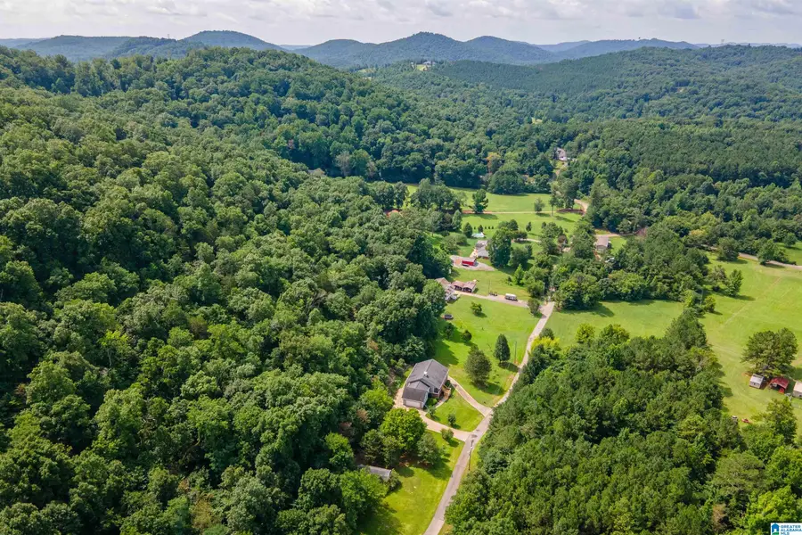 5941 MILES MOUNTAIN TRAIL, Pinson, AL 35126 - #2