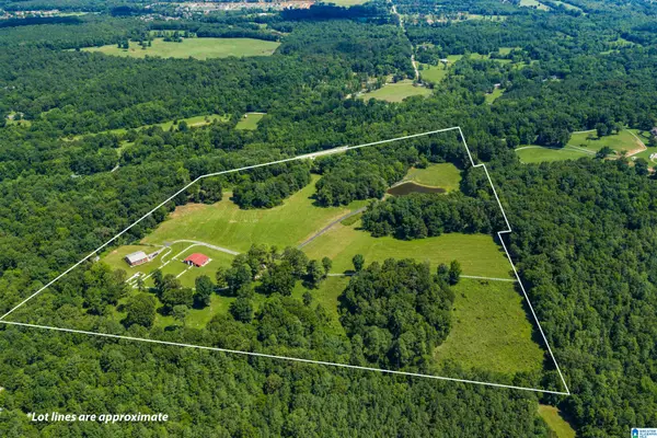 3640 SPRING CREEK ROAD, Montevallo, AL 35115