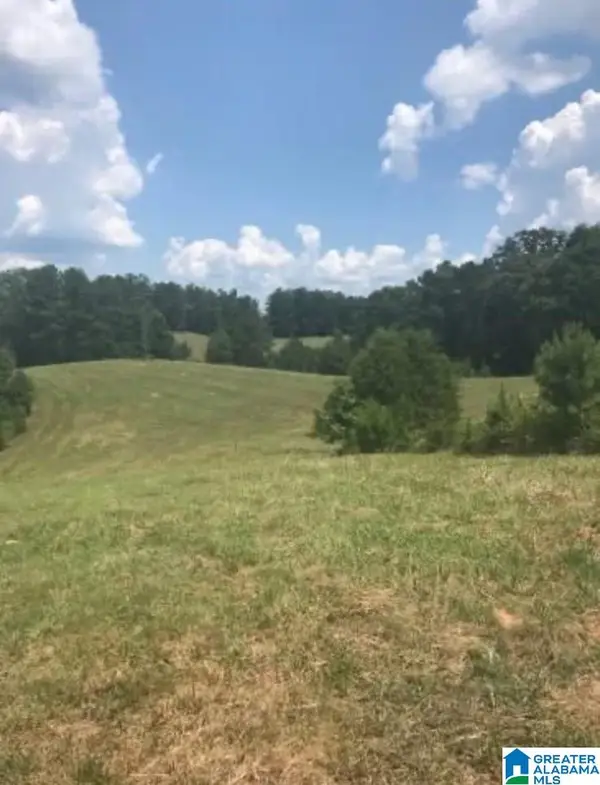 0 COUNTY ROAD 454, Clanton, AL 35045