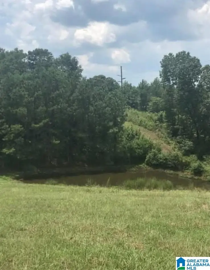 0 COUNTY ROAD 454, Clanton, AL 35045 - #2