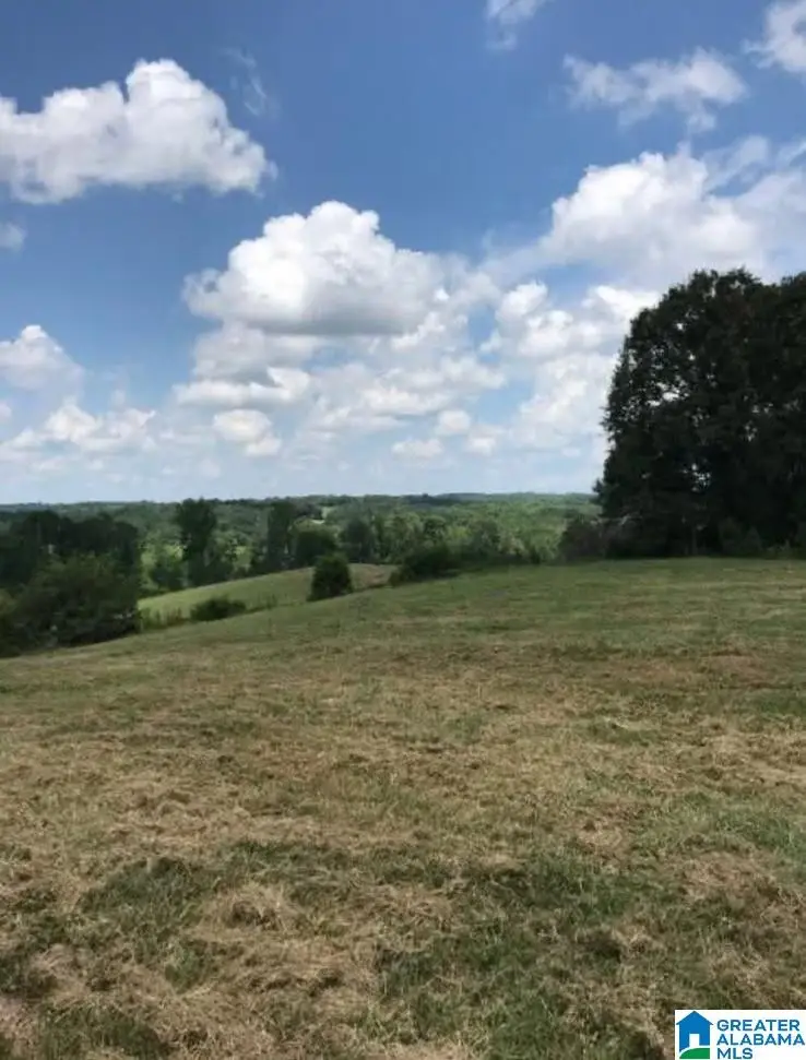 0 COUNTY ROAD 454, Clanton, AL 35045 - #3