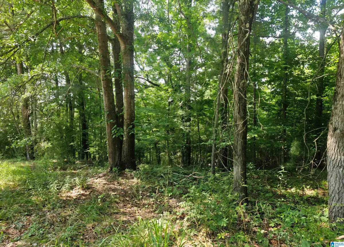 275 MILLER STREET, Margaret, AL 35120 - #1