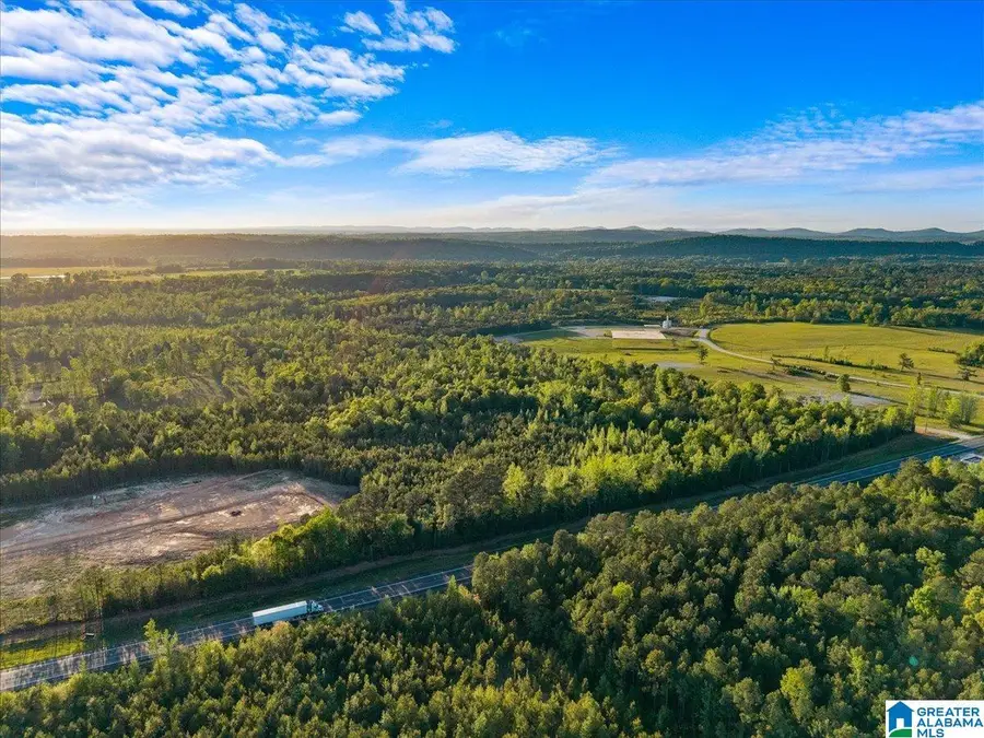20 acres ALABAMA HIGHWAY 77, Ohatchee, AL 36271 - #3