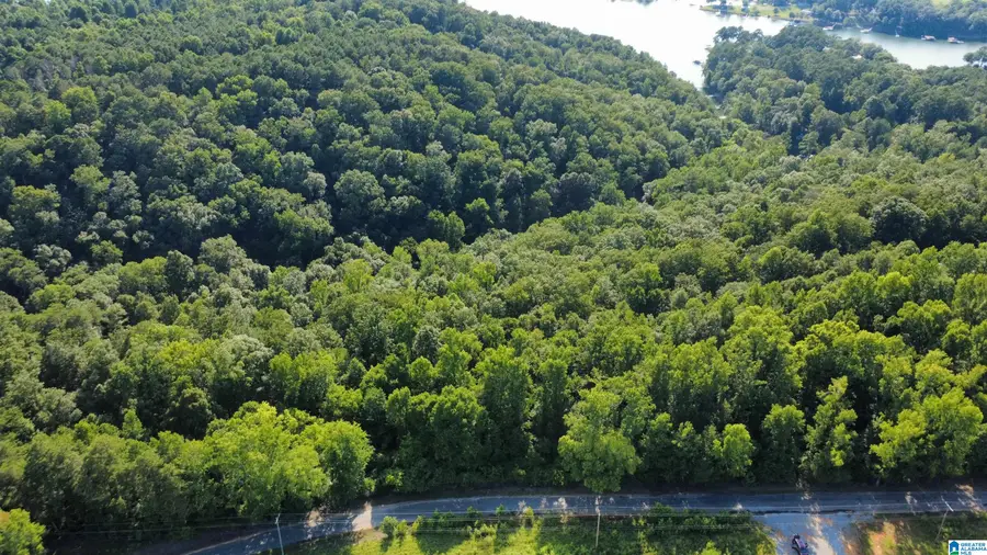 000 COUNTY ROAD 338, Crane Hill, AL 35053 - #3