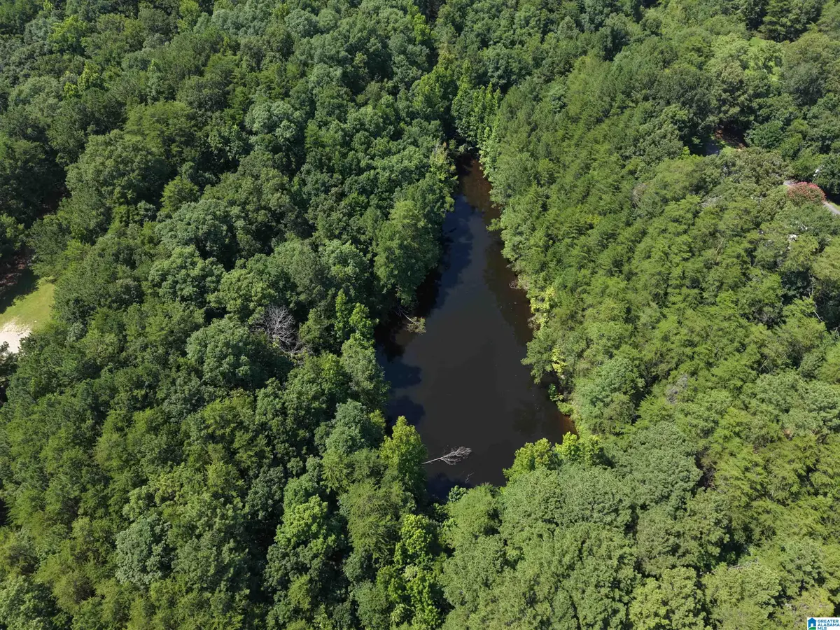 1170 GLENNWOOD ROAD, Morris, AL 35116 - #1