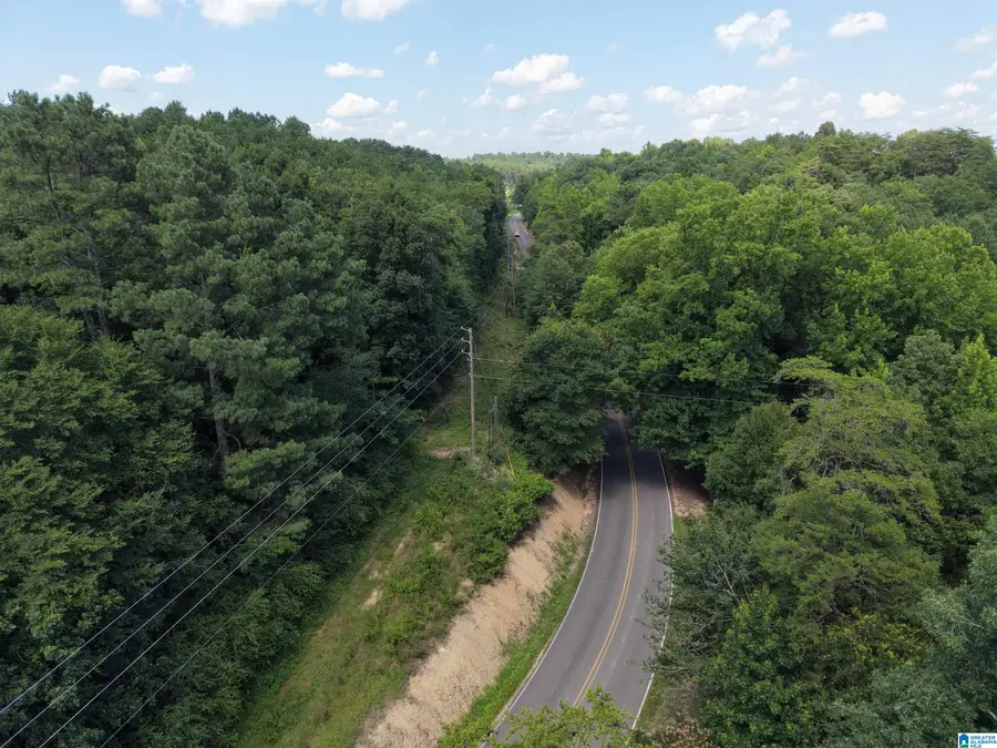 1170 GLENNWOOD ROAD, Morris, AL 35116 - #3