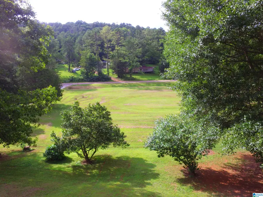 4041 ALLISON MILL ROAD, Talladega, AL 35160 - #3