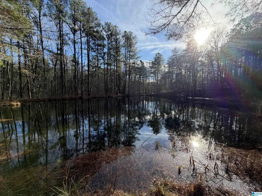 12055 GEORGE NEWELL ROAD, Vance, AL 35490 - #2