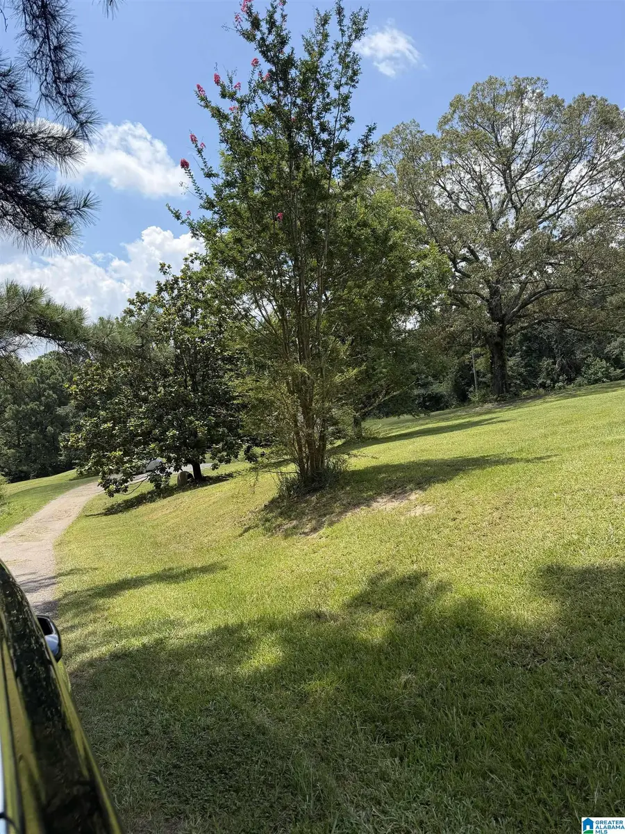 12055 GEORGE NEWELL ROAD, Vance, AL 35490 - #3