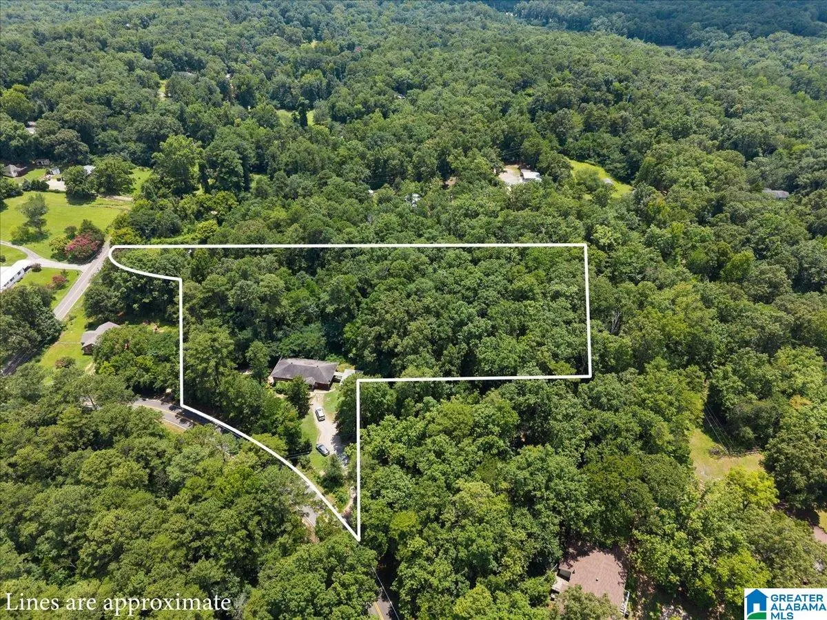 4427 BRADFORD HOPEWELL ROAD, Pinson, AL 35126 - #1