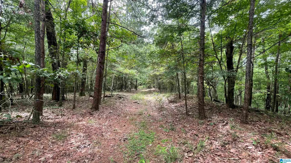 5020 LAUREL LAKES TERRACE, Bessemer, AL 35022 - #1