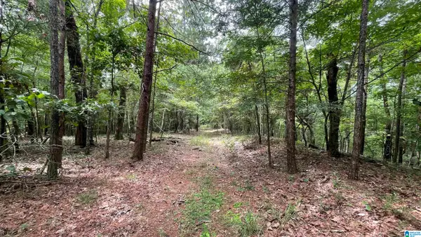 5020 LAUREL LAKES TERRACE, Bessemer, AL 35022