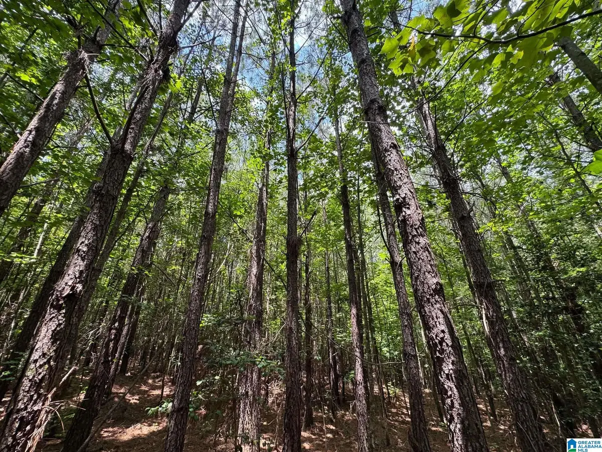 0 HIGHWAY 63, Goodwater, AL 35072 - #1