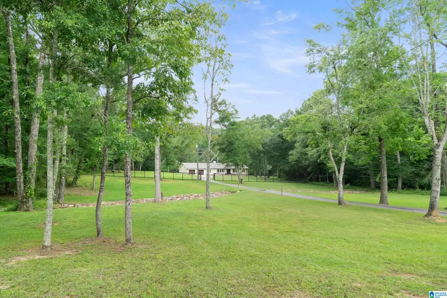 3419 OLD COAL CITY ROAD, Pell City, AL 35125 - #3