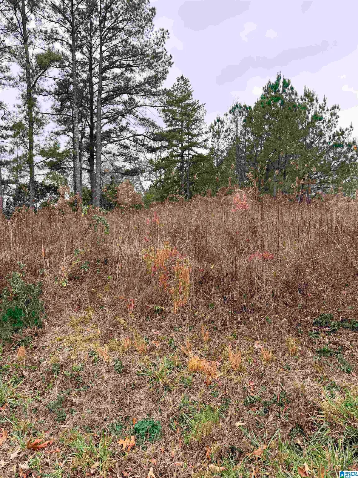 0 INDIAN HILLS ROAD, Hayden, AL 35079 - #1