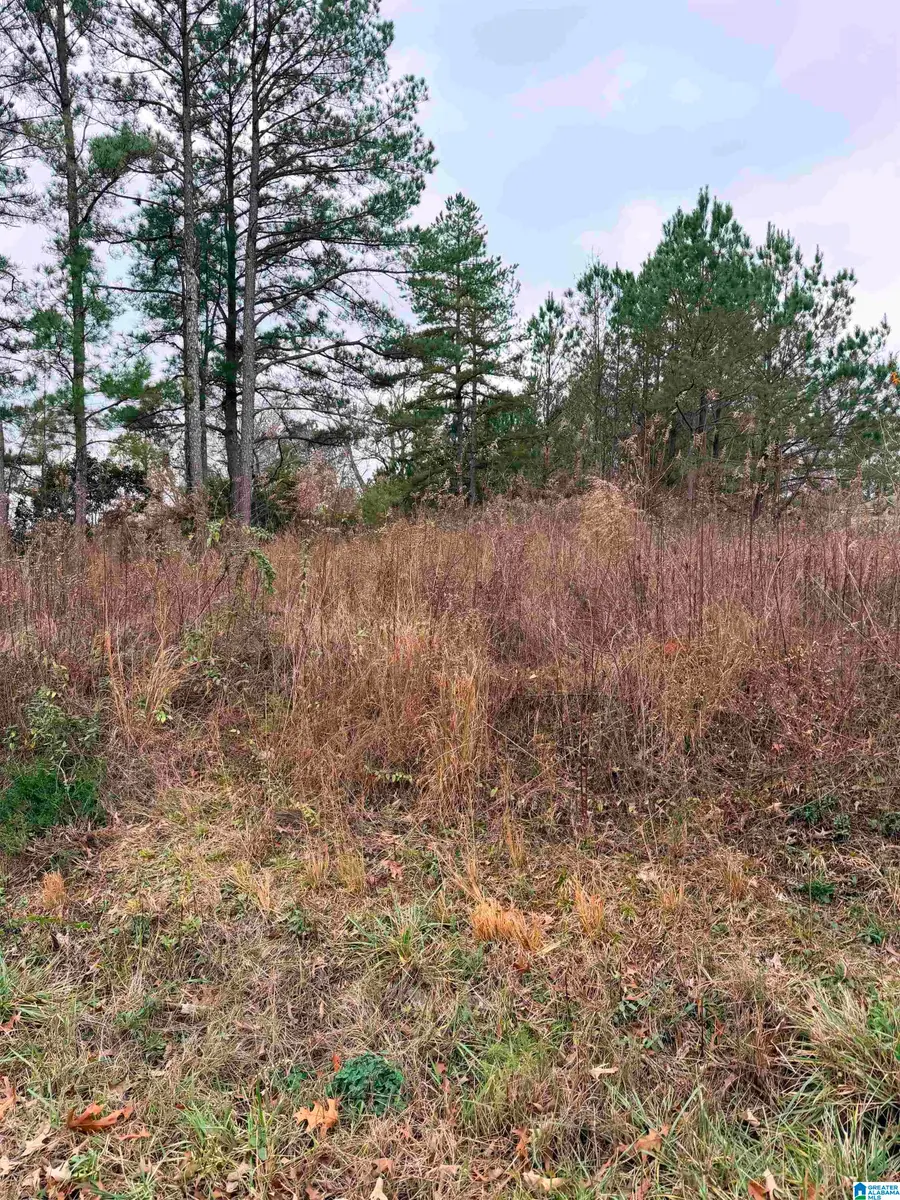 0 INDIAN HILLS ROAD, Hayden, AL 35079 - #2